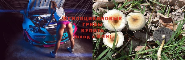 дмт Алексеевка