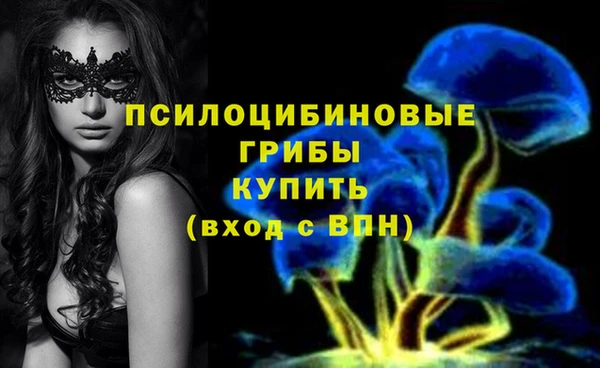 дмт Алексеевка