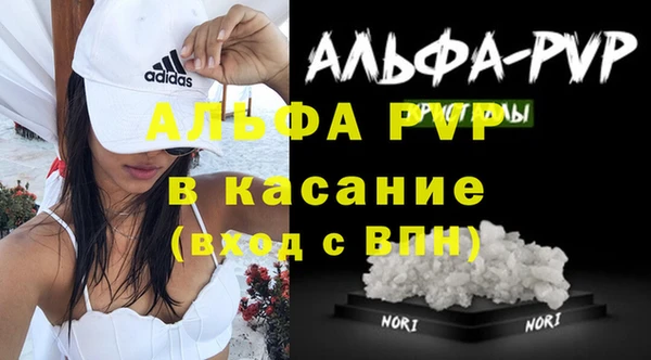 прущие грибы Абинск