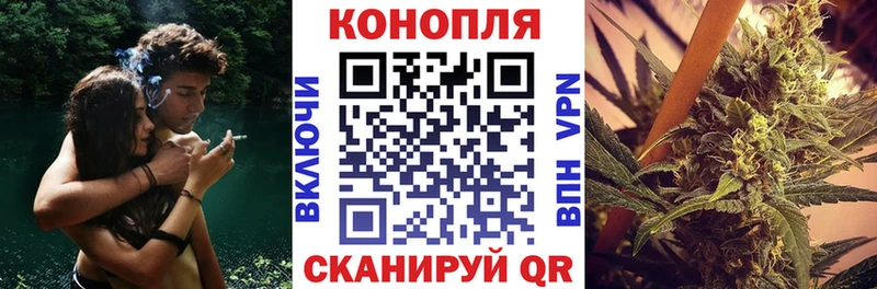 omg рабочий сайт  Данков  Бошки марихуана индика 